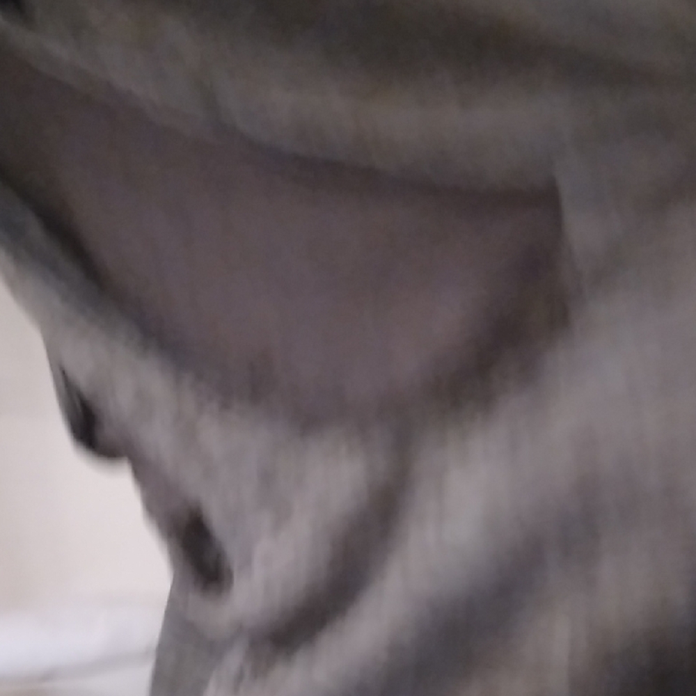 Women's Gymshark Hooded Tank Top - Picture 6 of 7